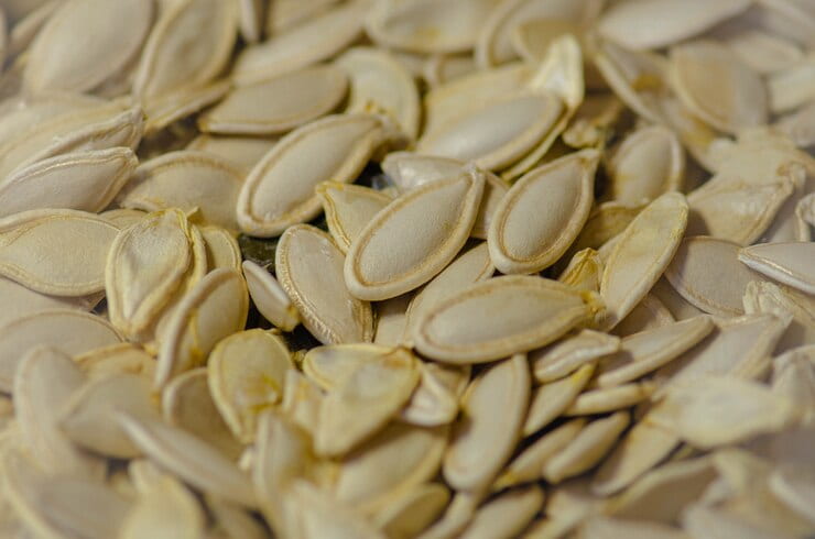 قیمت خرید تخمه کدو خام + فروش ویژه